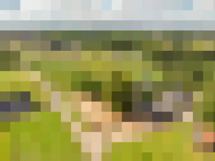 Elburgerweg 4 Hattemerbroek thumbnail 78