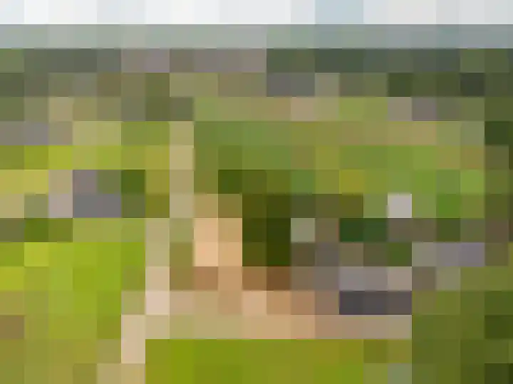 Elburgerweg 4 Hattemerbroek thumbnail 80