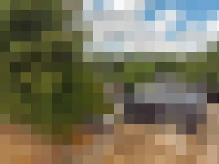 Elburgerweg 4 Hattemerbroek thumbnail 82