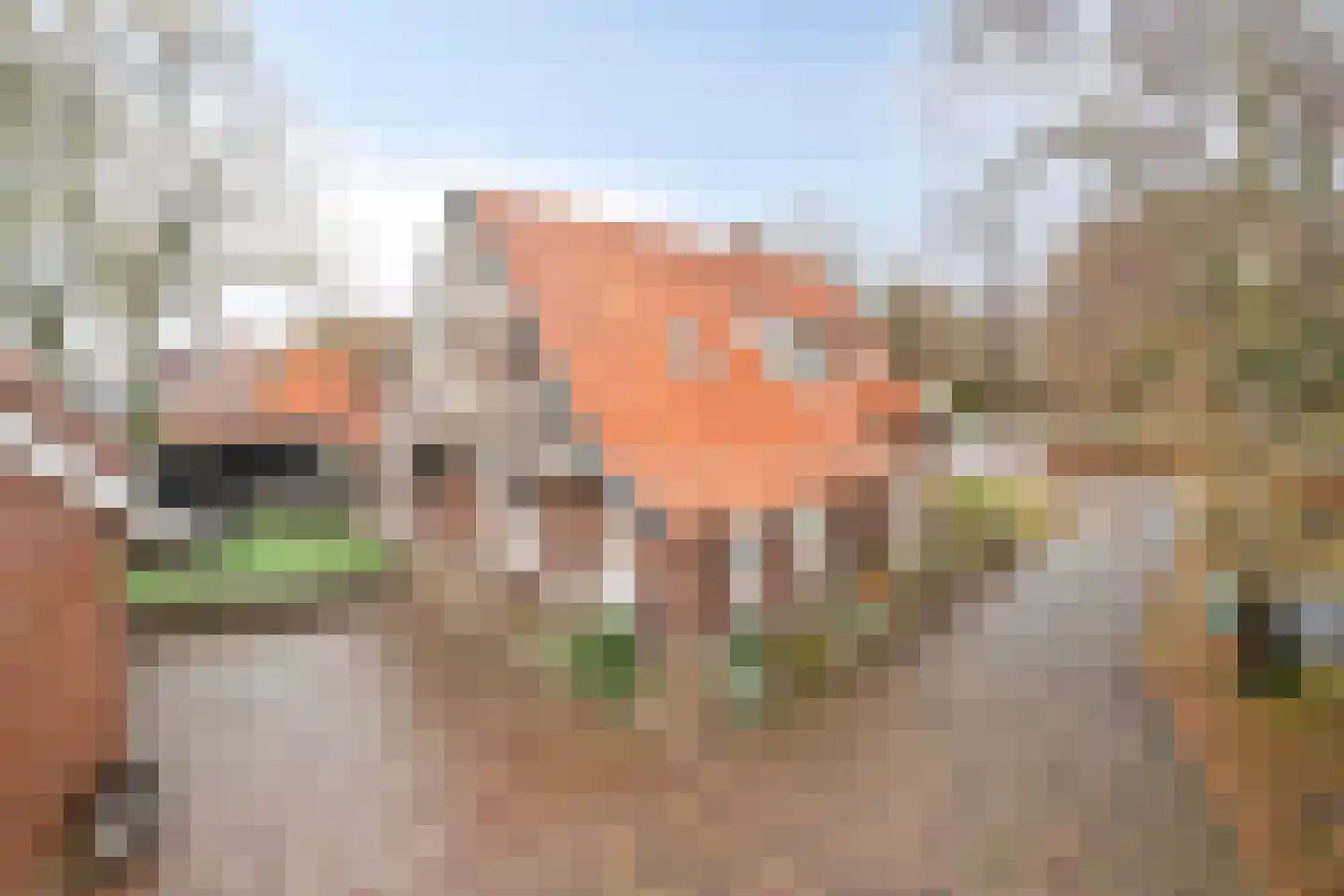 Elburgerweg 59 Nunspeet thumbnail 10