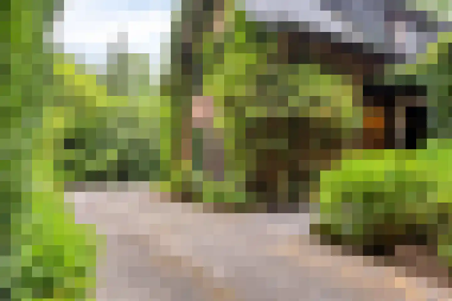 Elburglaan 4 Eindhoven thumbnail 11