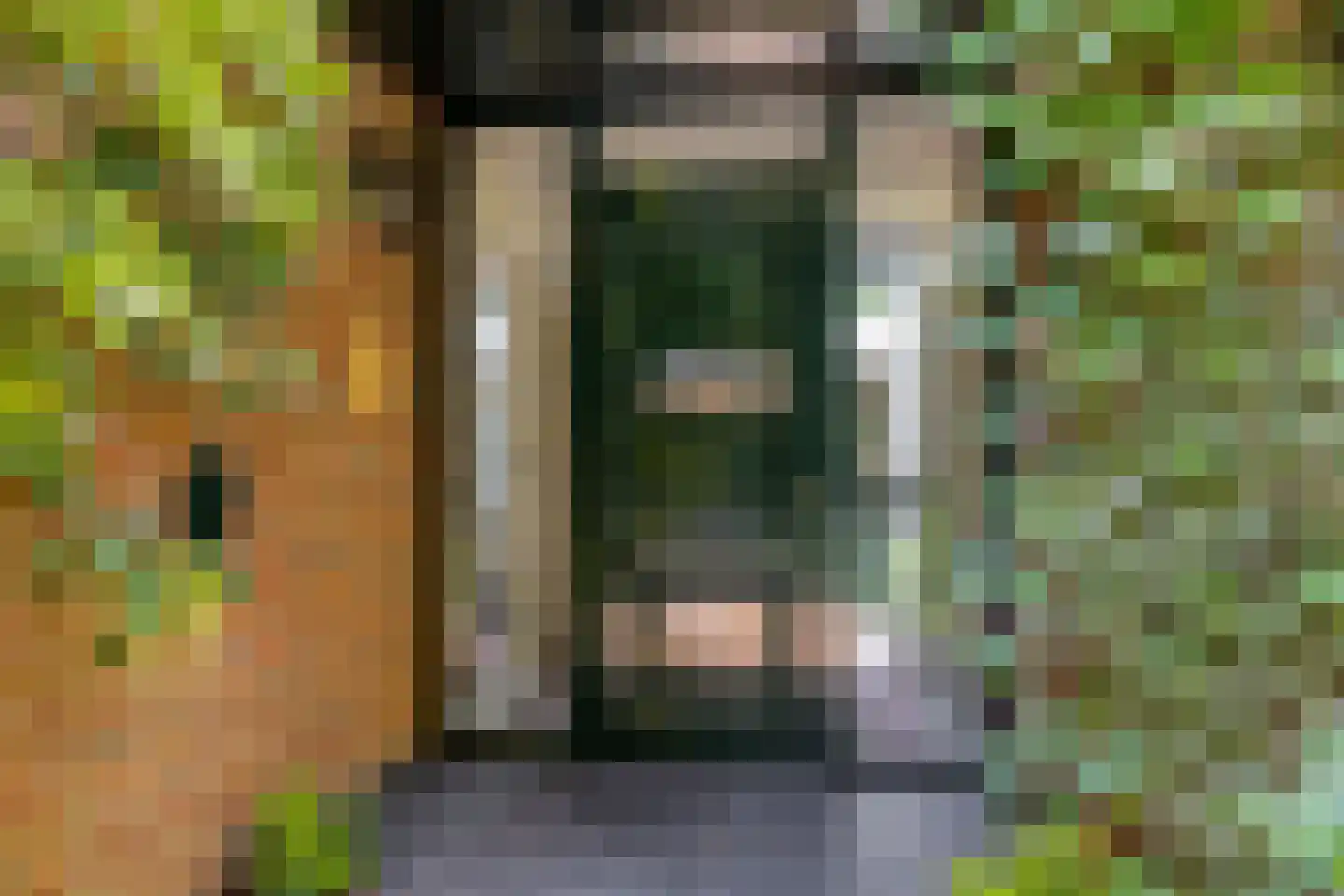 Elburglaan 4 Eindhoven thumbnail 12