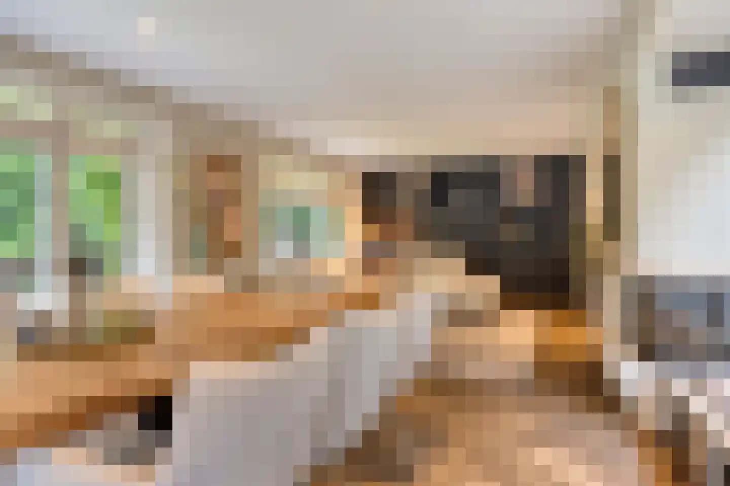 Elburglaan 4 Eindhoven thumbnail 18