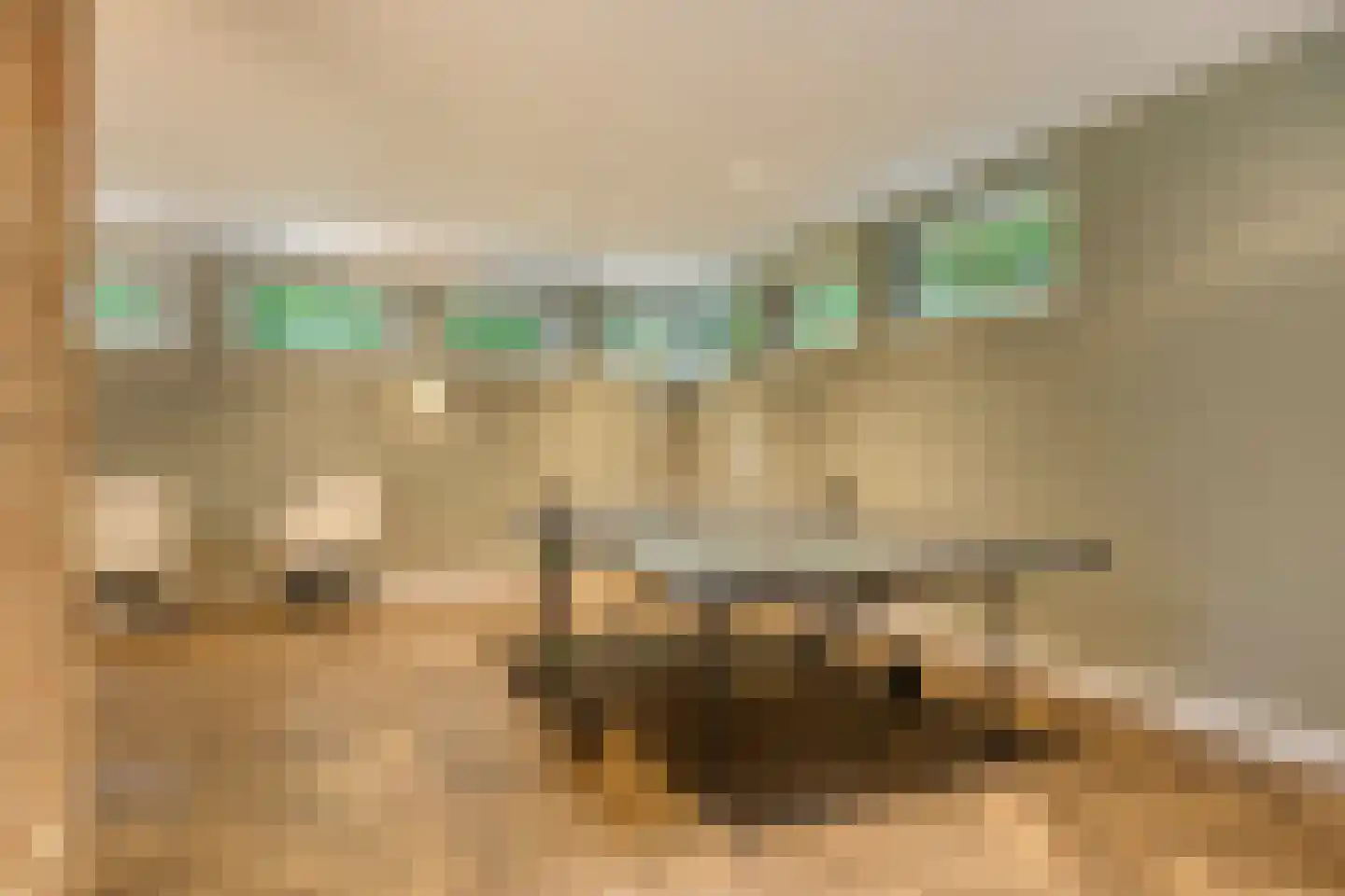 Elburglaan 4 Eindhoven thumbnail 47