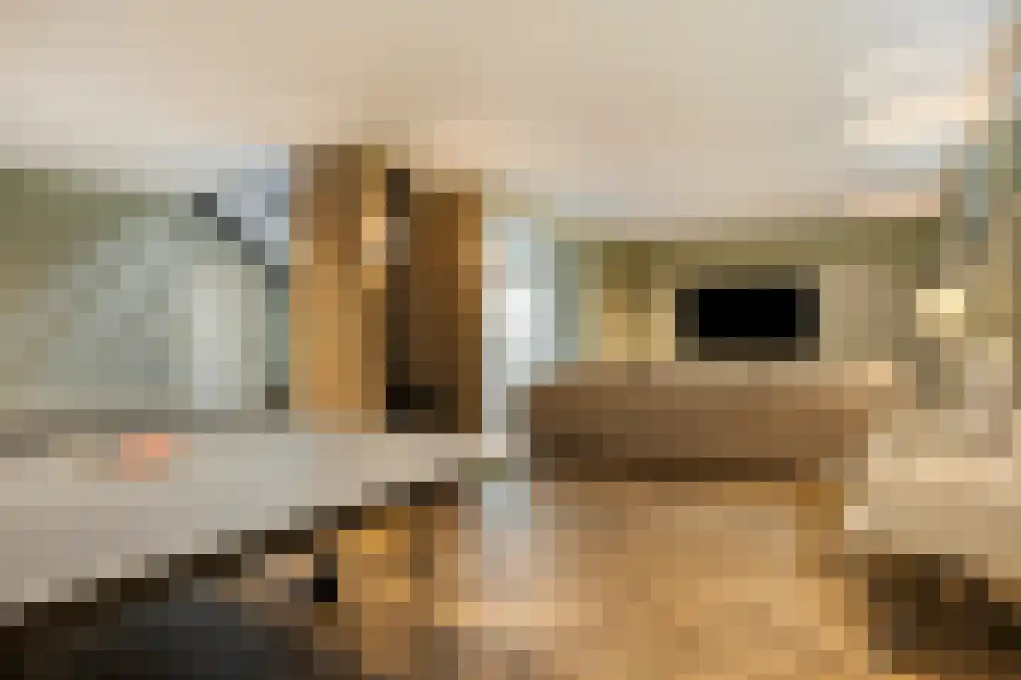 Elburglaan 4 Eindhoven thumbnail 48