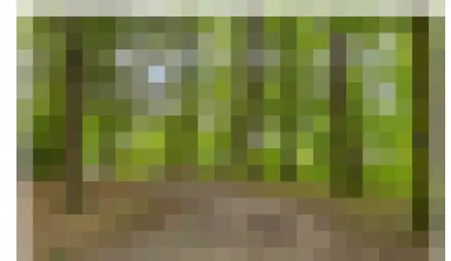 Elburglaan 4 Eindhoven thumbnail 5