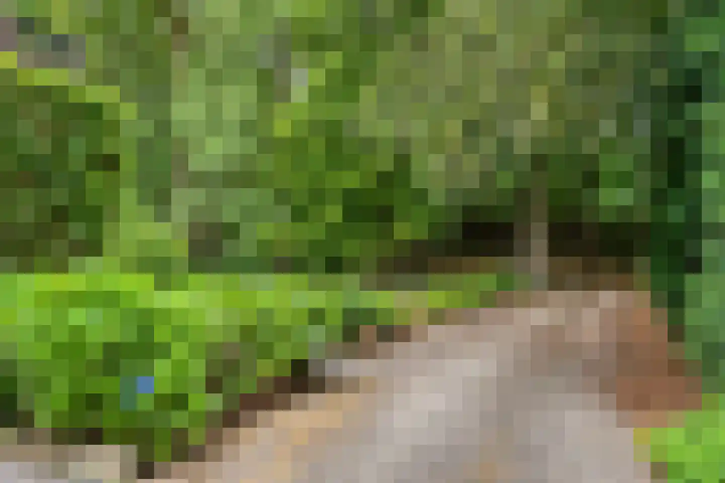 Elburglaan 4 Eindhoven thumbnail 6