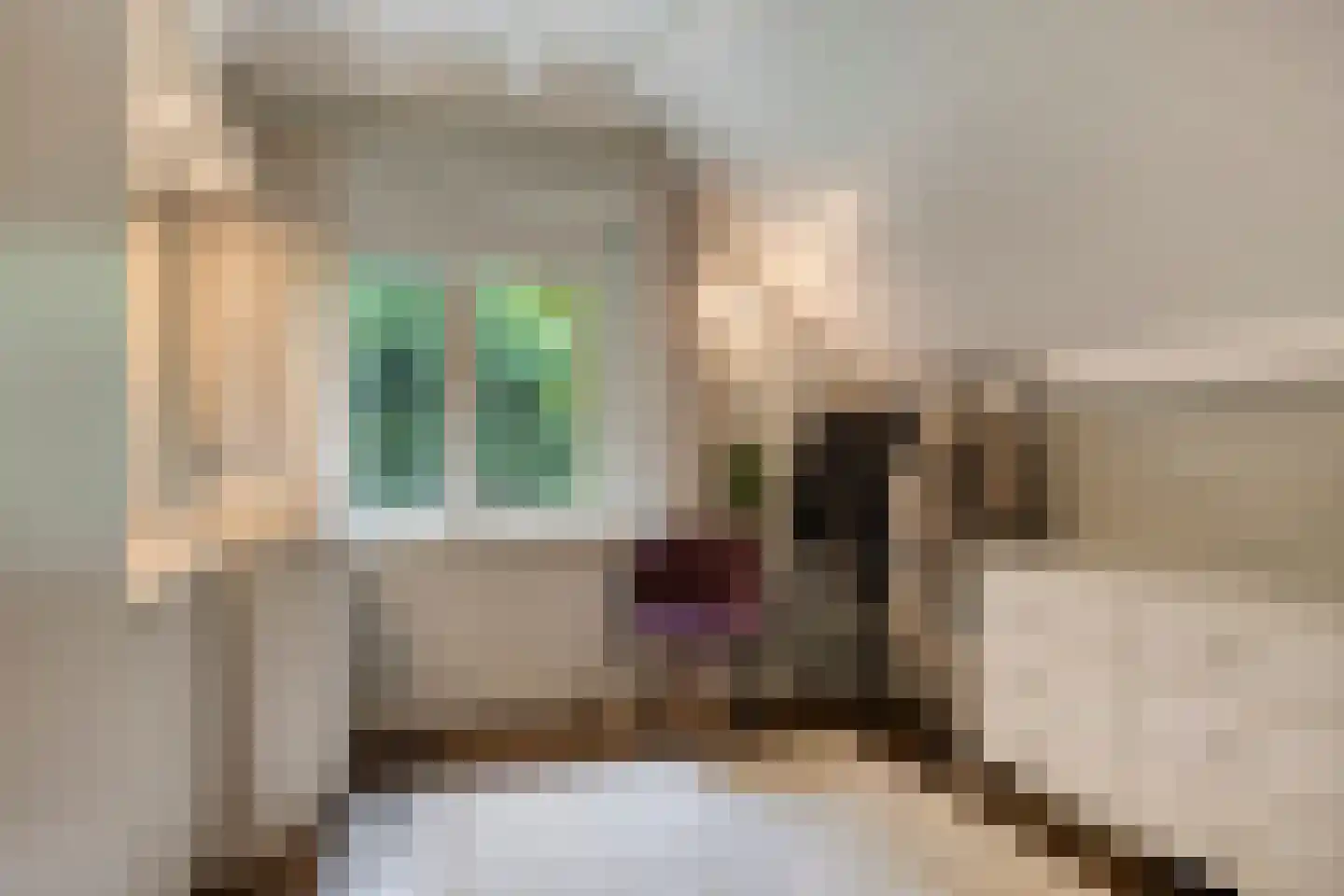 Elburglaan 4 Eindhoven thumbnail 60