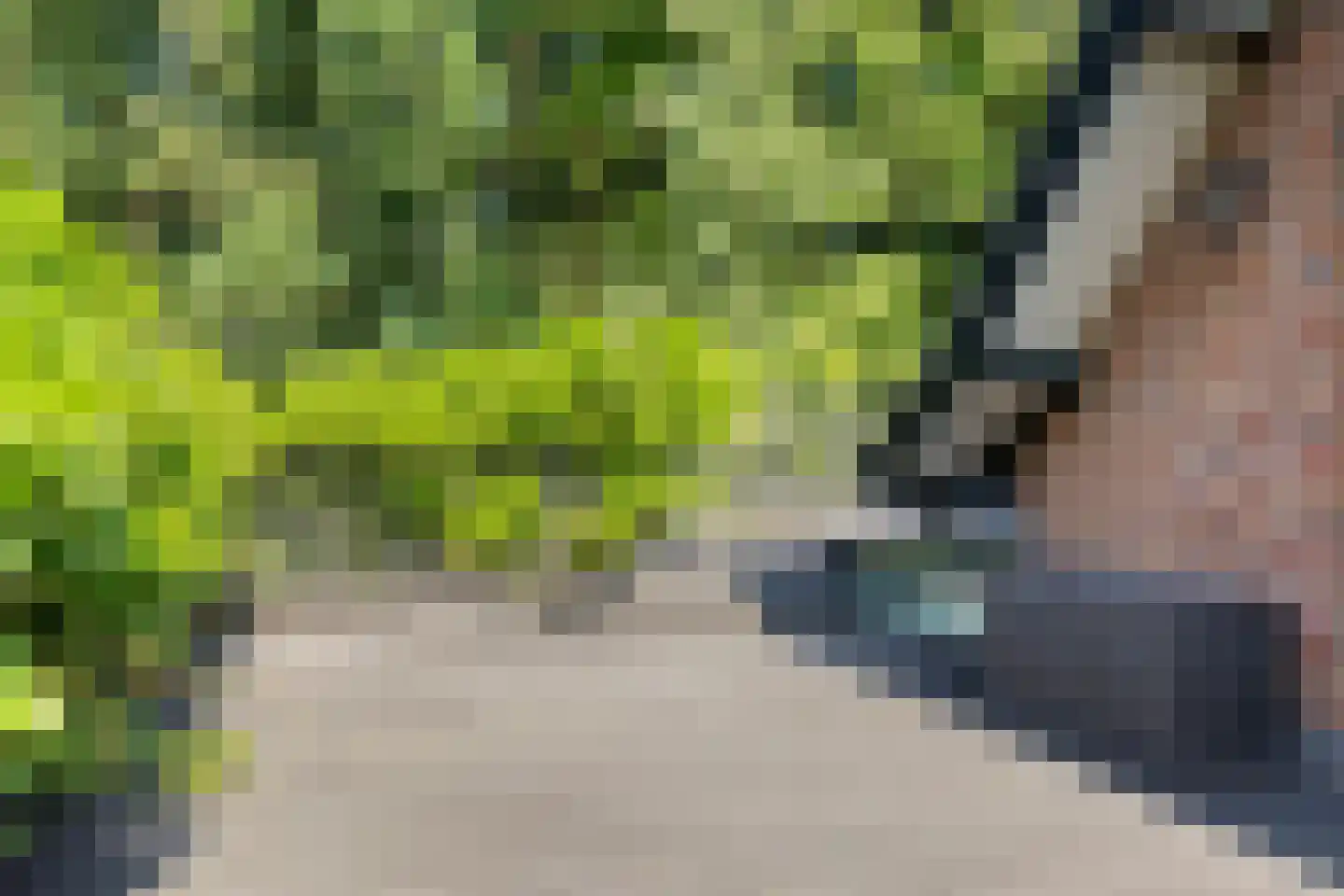 Elburglaan 4 Eindhoven thumbnail 67
