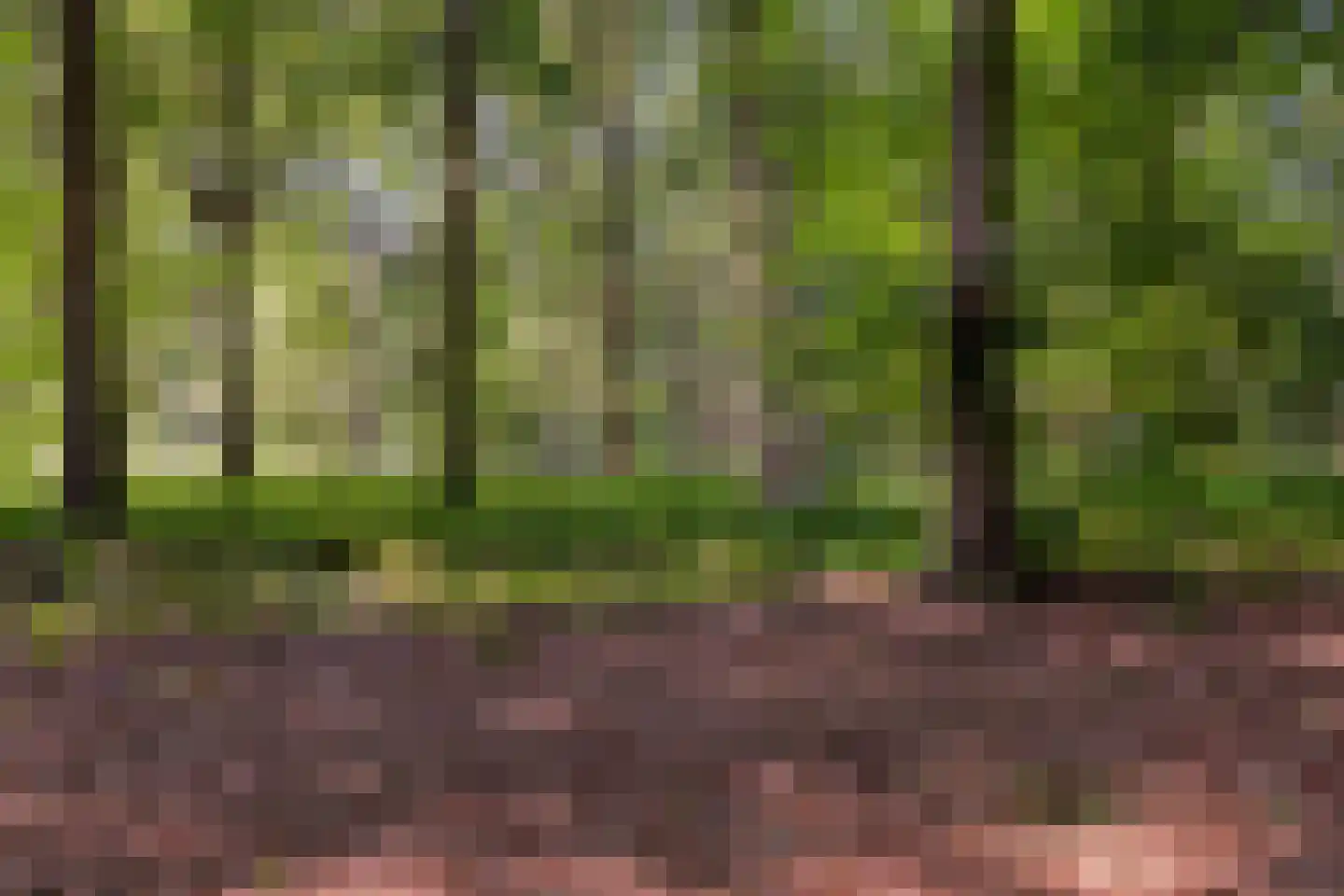 Elburglaan 4 Eindhoven thumbnail 83