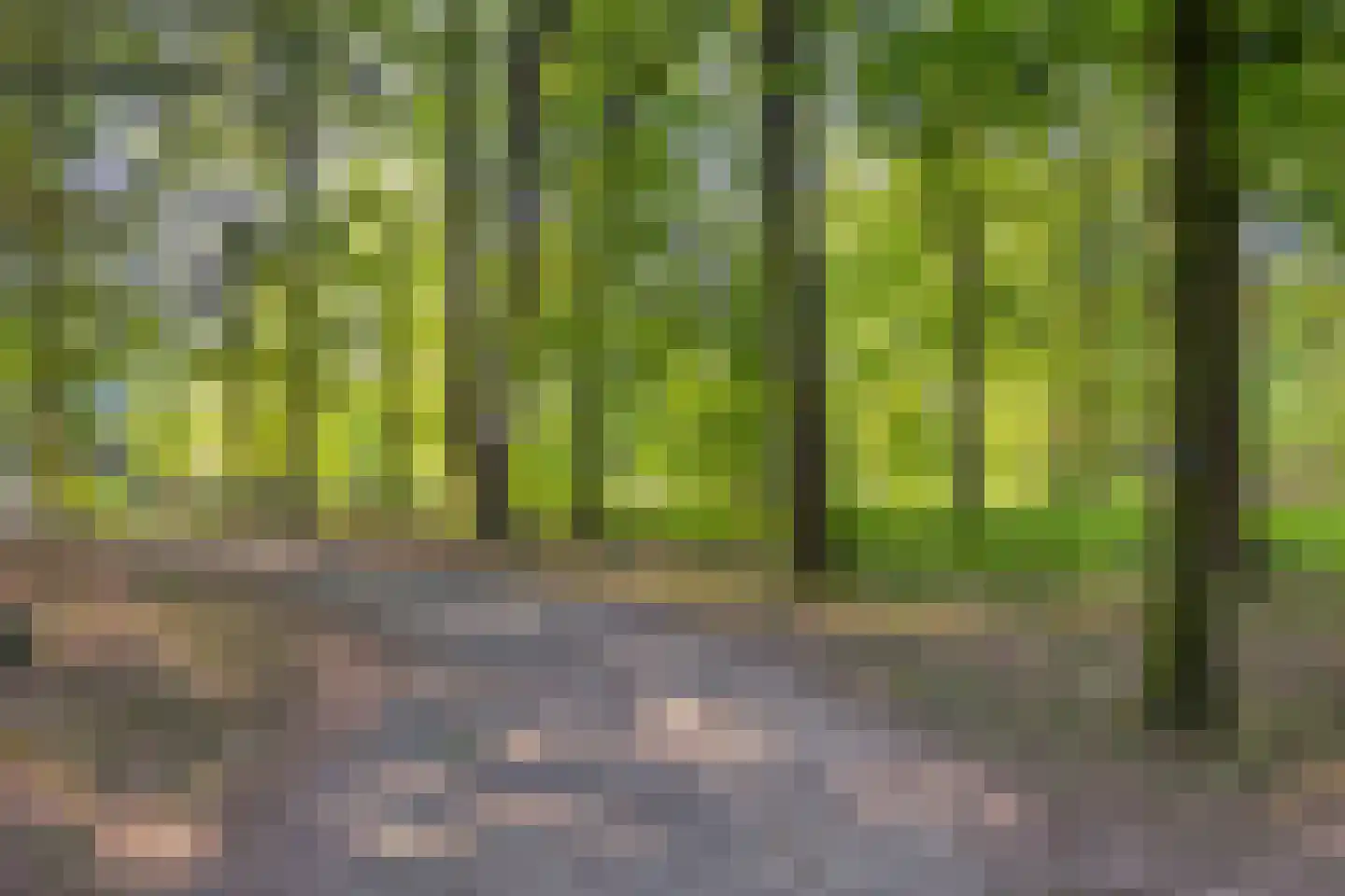 Elburglaan 4 Eindhoven thumbnail 84