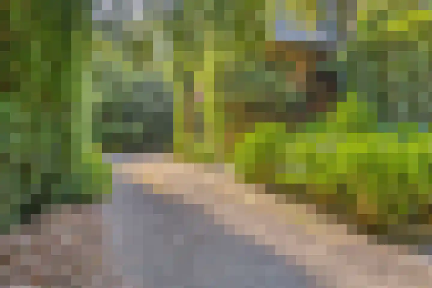Elburglaan 4 Eindhoven thumbnail 85