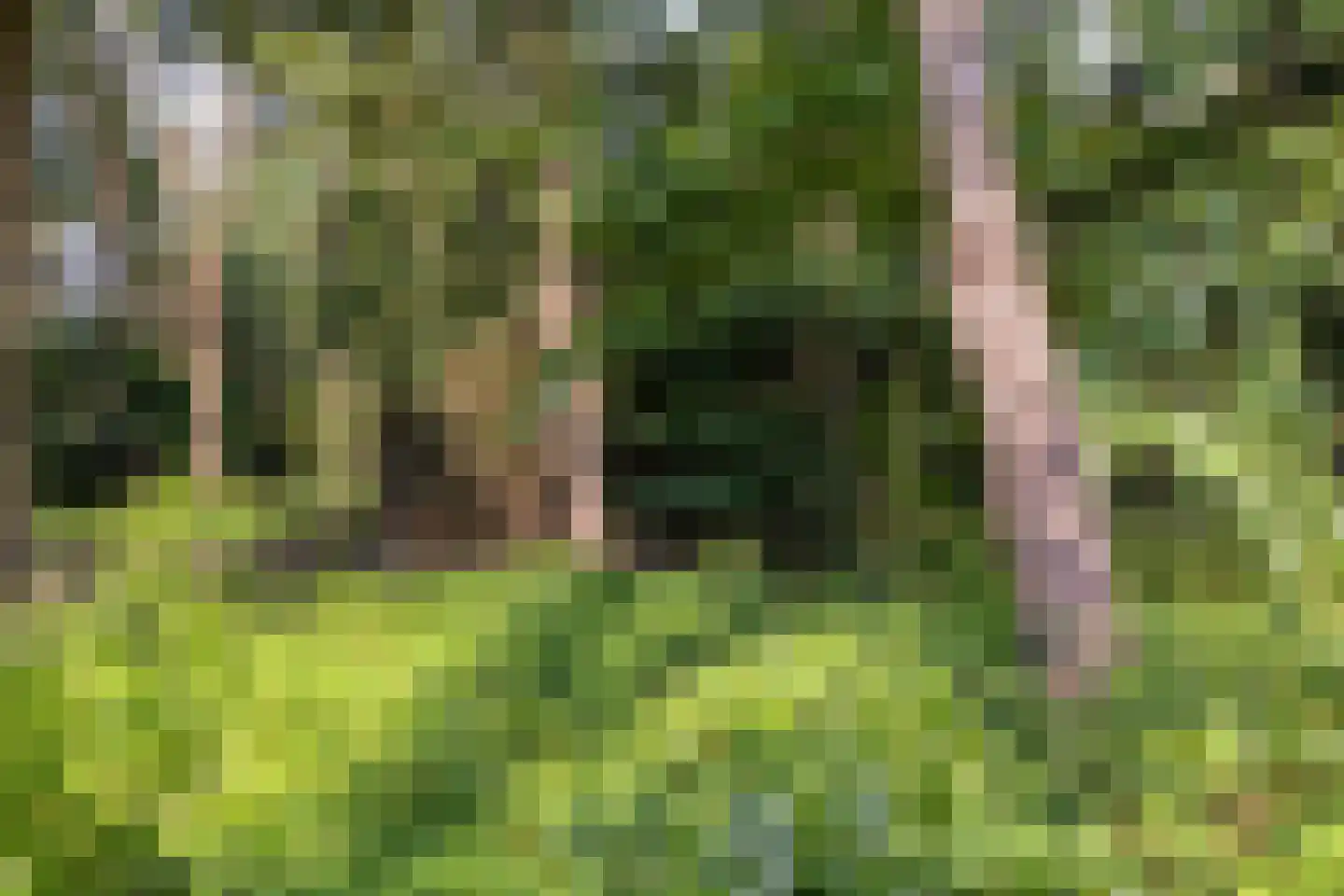 Elburglaan 4 Eindhoven thumbnail 86