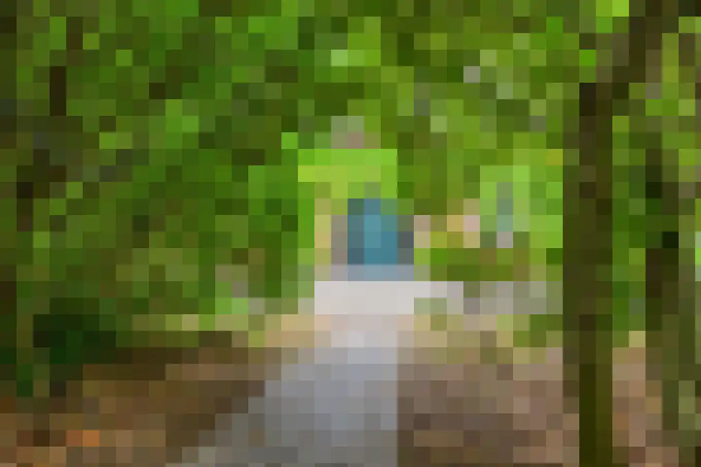 Elburglaan 4 Eindhoven thumbnail 88