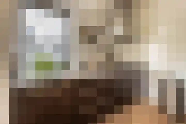 Elckerlijcstraat 15 Amsterdam thumbnail 15