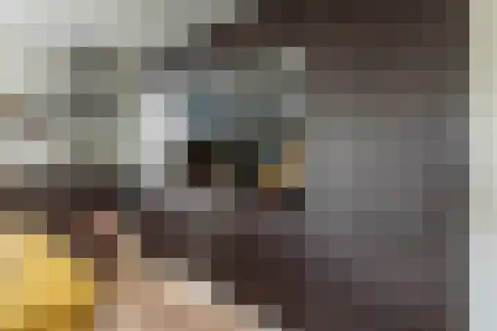 Elckerlijcstraat 15 Amsterdam thumbnail 17