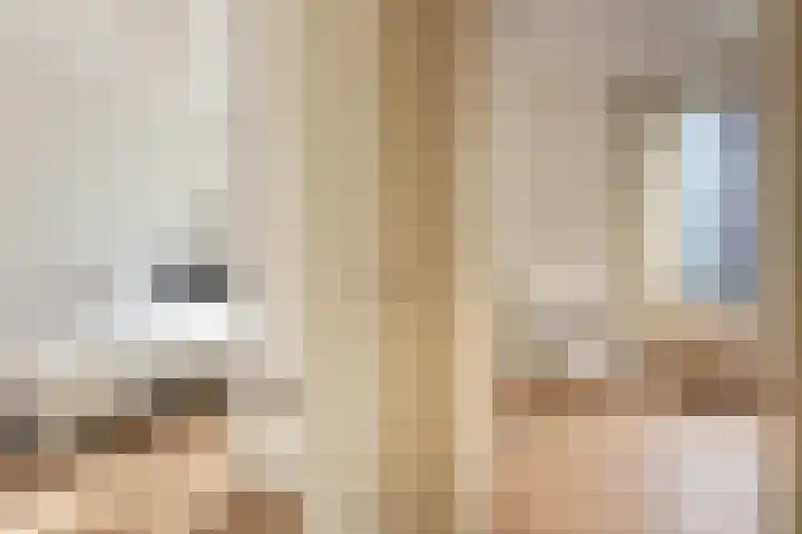 Elckerlijcstraat 15 Amsterdam thumbnail 21