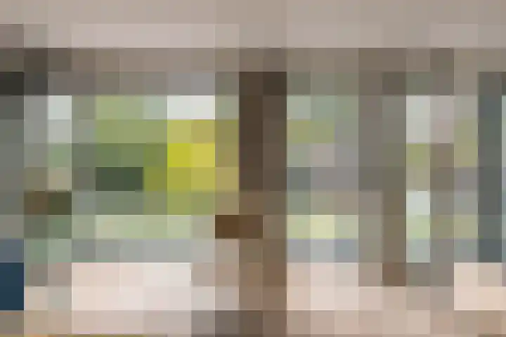 Elckerlijcstraat 15 Amsterdam thumbnail 9