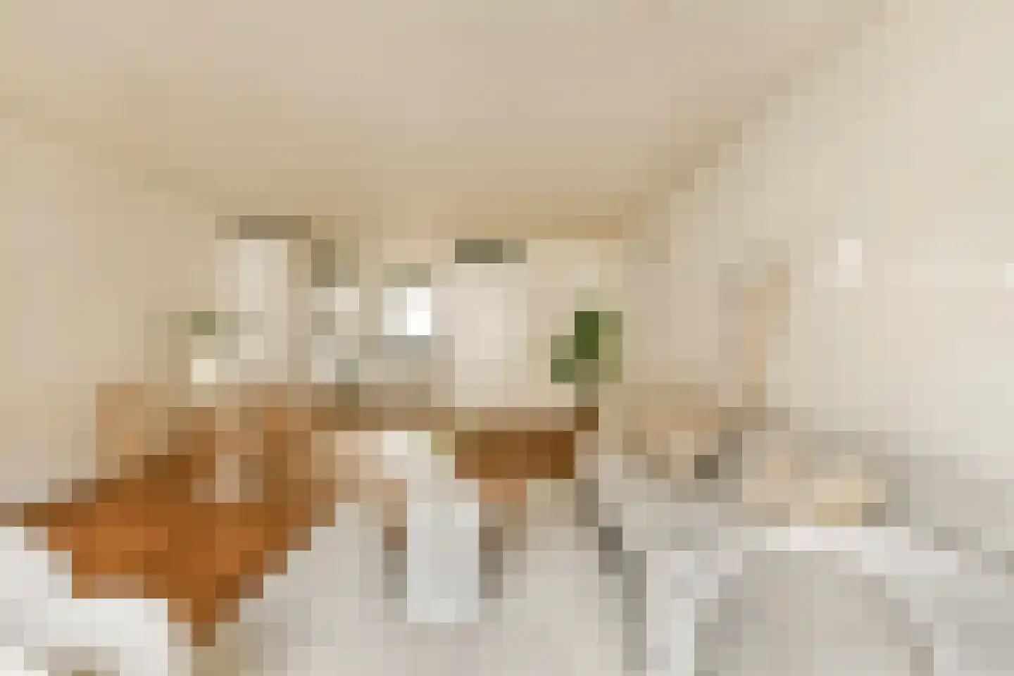 Elckerlijcstraat 171 Amsterdam thumbnail 9