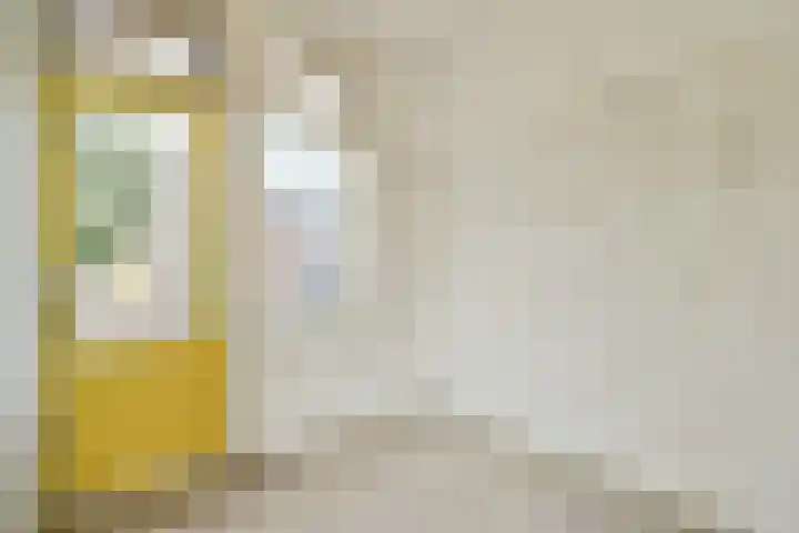 Elckerlijcstraat 2 2 Amsterdam thumbnail 13