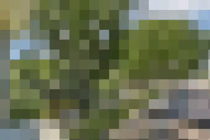 Elckerlijcstraat 2 2 Amsterdam thumbnail 15