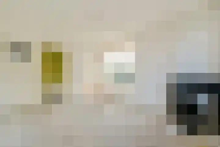 Elckerlijcstraat 2 2 Amsterdam thumbnail 5