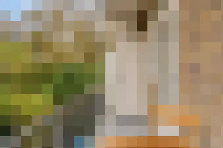 Elckerlijcstraat 20 2 Amsterdam thumbnail 18