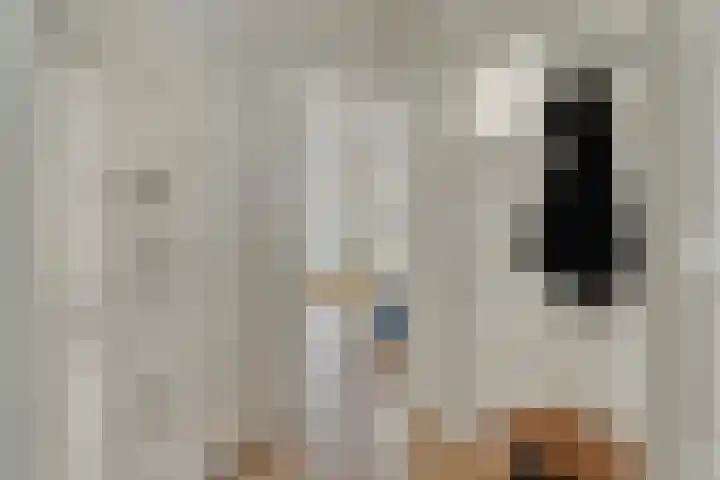 Elckerlijcstraat 20 2 Amsterdam thumbnail 4