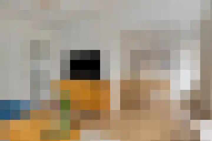 Elckerlijcstraat 20 2 Amsterdam thumbnail 5