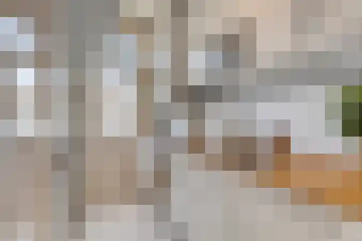Elckerlijcstraat 28 H Amsterdam thumbnail 5
