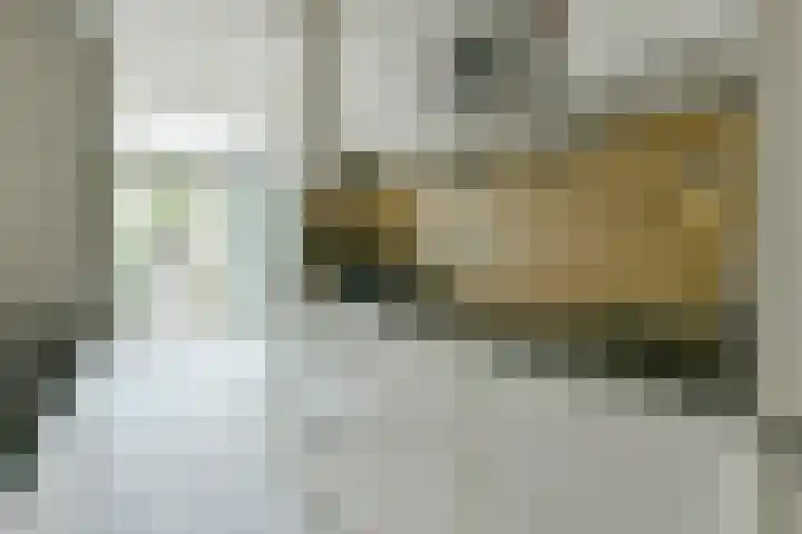 Elckerlijcstraat 32 2 Amsterdam thumbnail 12