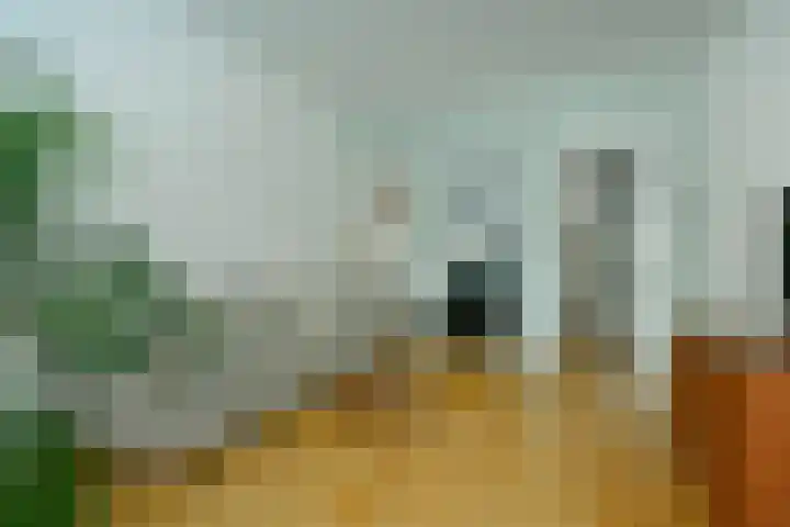 Elckerlijcstraat 32 2 Amsterdam thumbnail 17