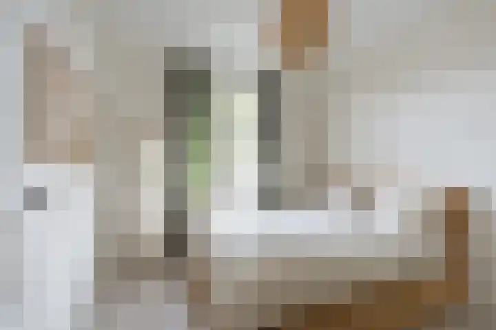 Elckerlijcstraat 38 3 Amsterdam thumbnail 18