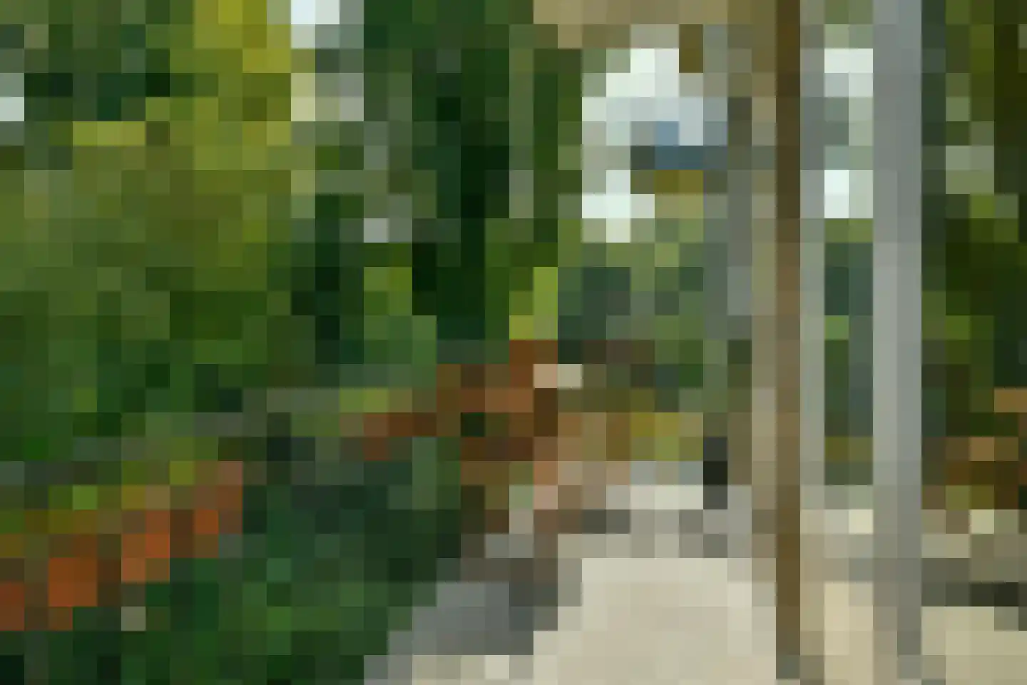 Elckerlijcstraat 4 2 Amsterdam thumbnail 15