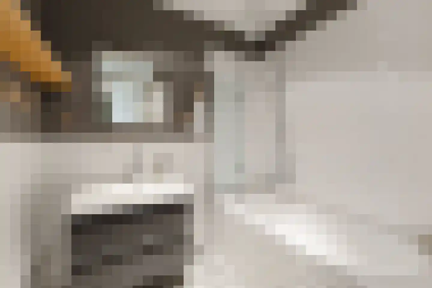 Elckerlijcstraat 9 Amsterdam thumbnail 5