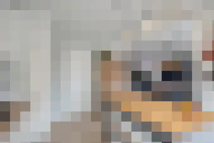 Elckerlyclaan 6 Eindhoven thumbnail 17