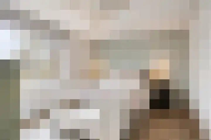 Elckerlyclaan 6 Eindhoven thumbnail 23