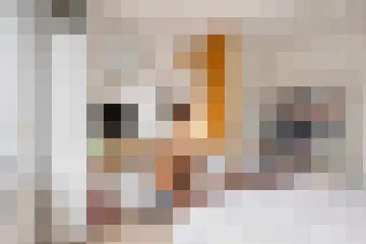 Elckerlyclaan 6 Eindhoven thumbnail 26