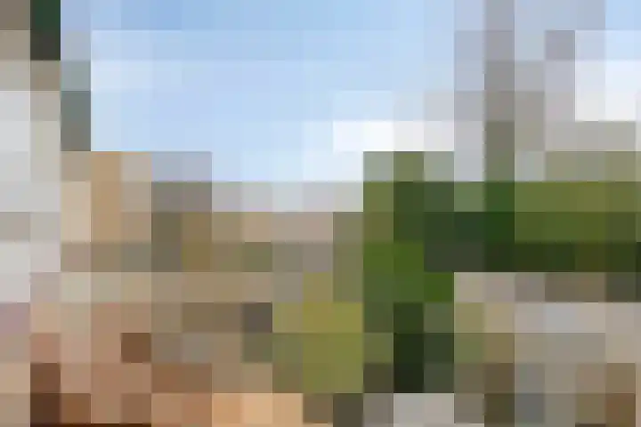 Elckerlyclaan 6 Eindhoven thumbnail 29