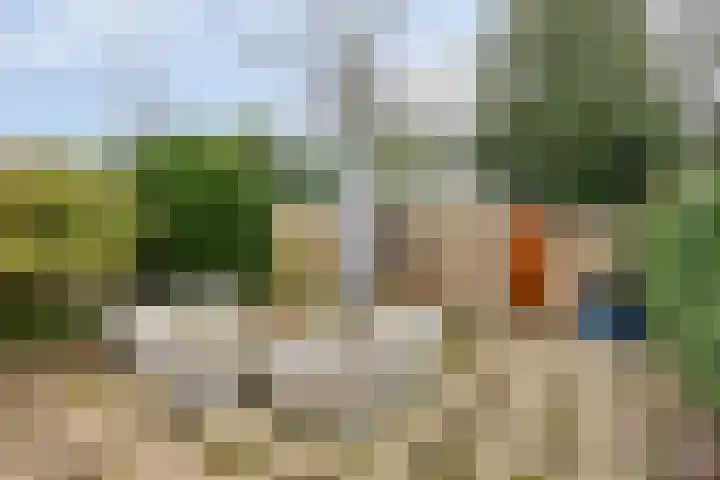 Elckerlyclaan 6 Eindhoven thumbnail 32