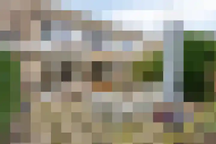 Elckerlyclaan 6 Eindhoven thumbnail 34