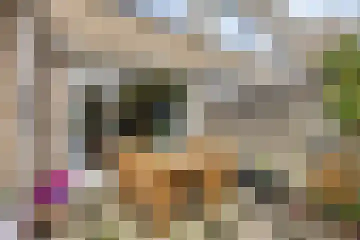 Elckerlyclaan 6 Eindhoven thumbnail 35