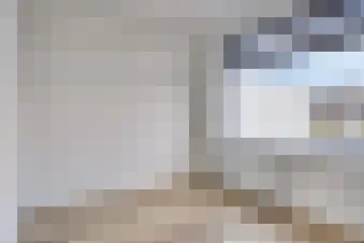 Elckerlyclaan 93 A Eindhoven thumbnail 12