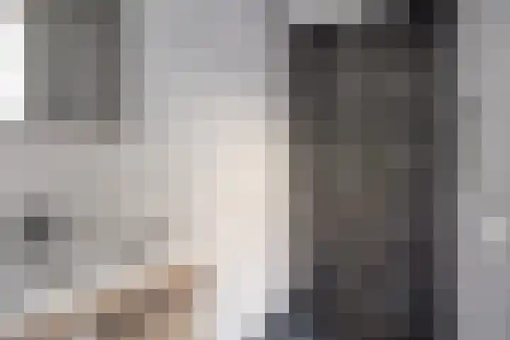 Elckerlyclaan 93 A Eindhoven thumbnail 15