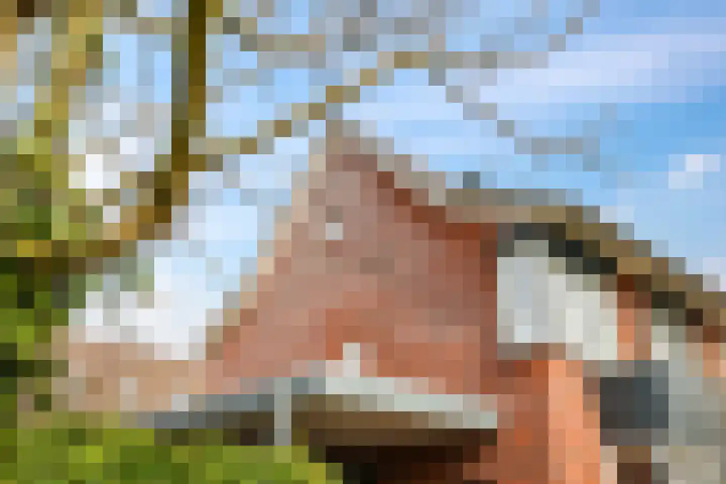 Eldense Blauwe 8 Arnhem thumbnail 10