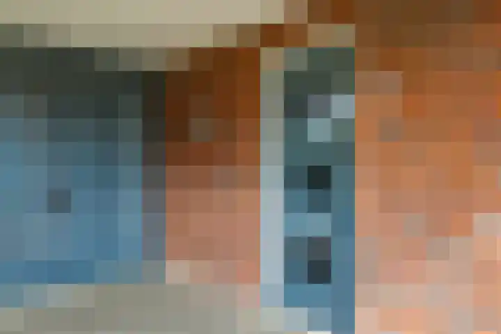 Eldense Blauwe 8 Arnhem thumbnail 12