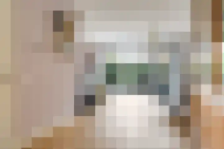 Eldense Blauwe 8 Arnhem thumbnail 18
