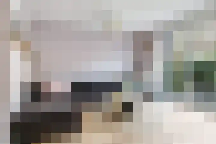 Eldense Blauwe 8 Arnhem thumbnail 20