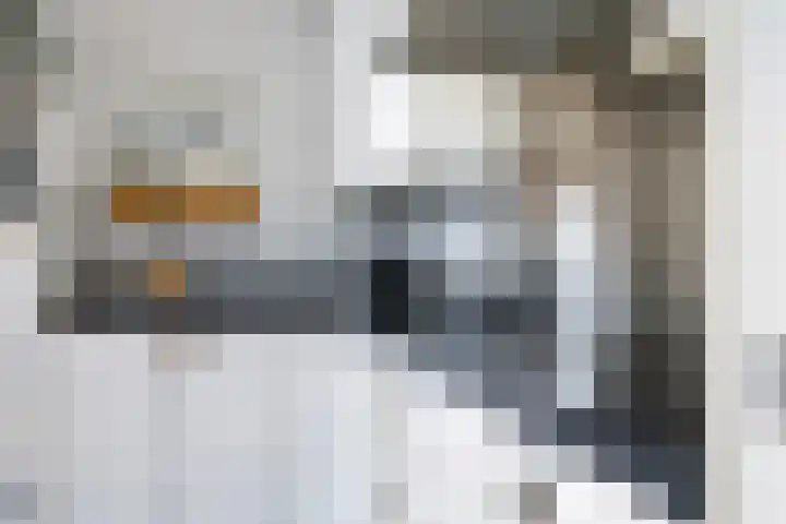 Eldense Blauwe 8 Arnhem thumbnail 32