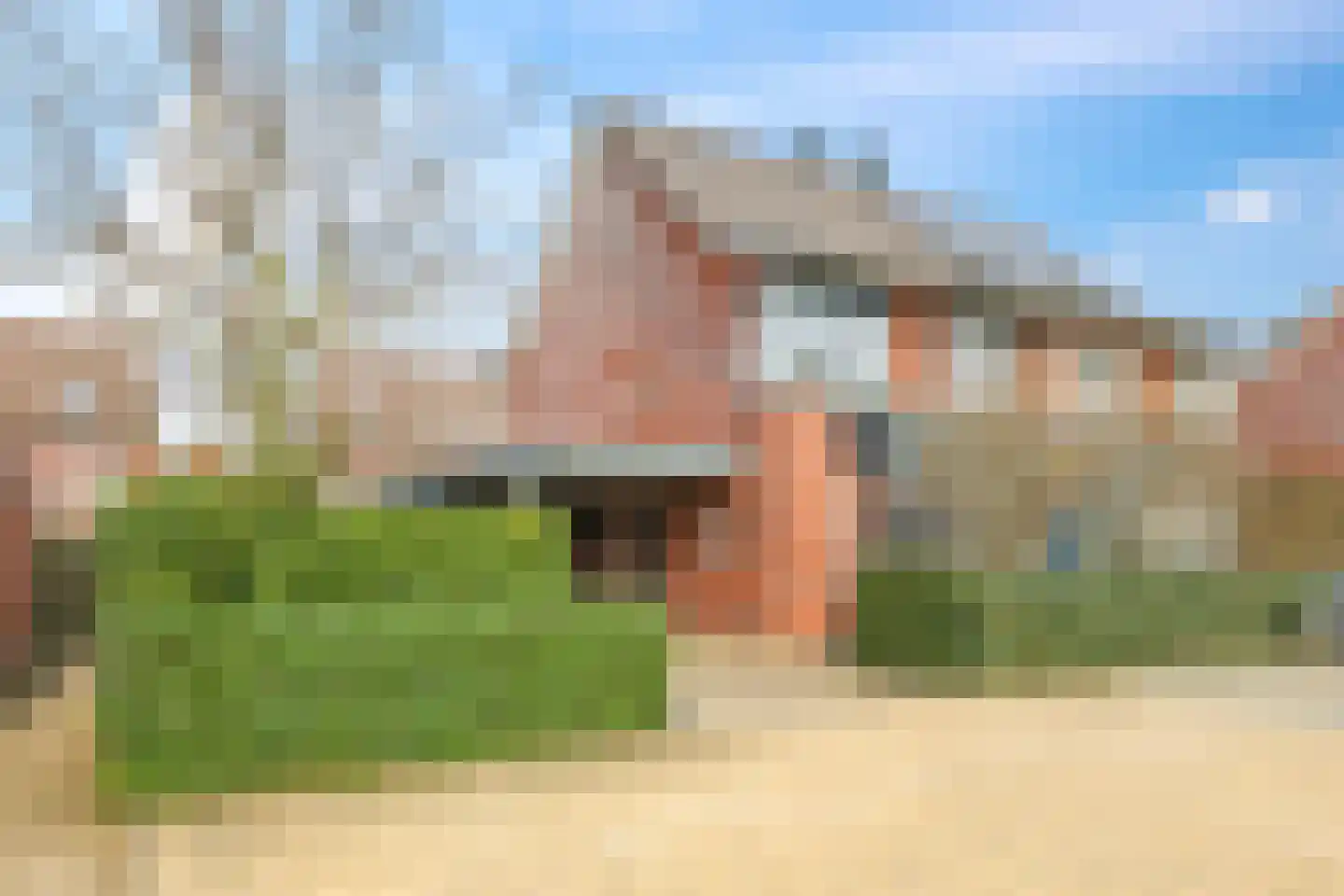 Eldense Blauwe 8 Arnhem thumbnail 4